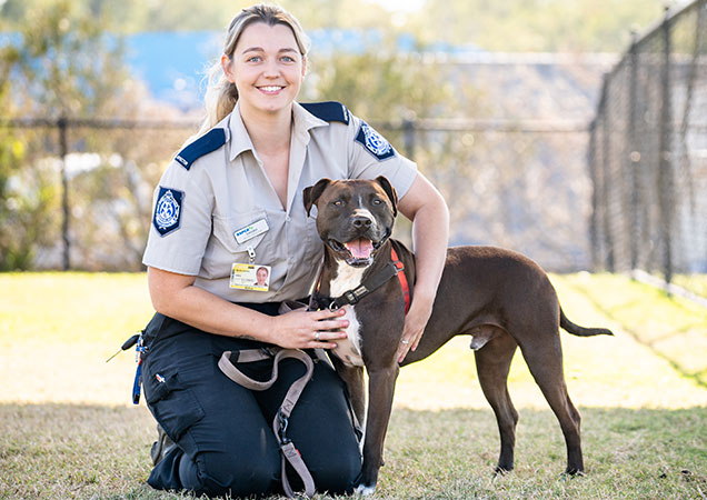 Animal Care and Protection Act Submissions | ACPA | Last Chance for Change  | Animal Welfare | RSPCA Queensland