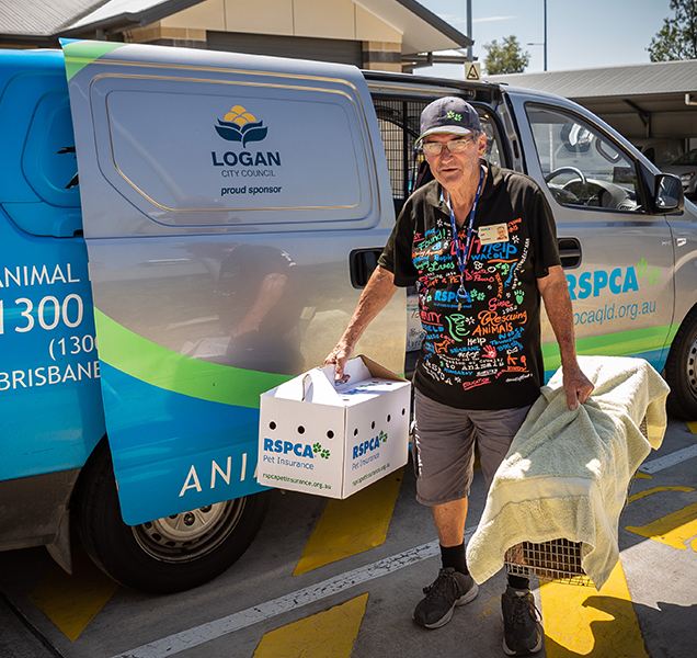 Australian Wildlife | Animal Rescue| Animal Ambulance Logan City Council |  Wildlife | RSPCA Queensland