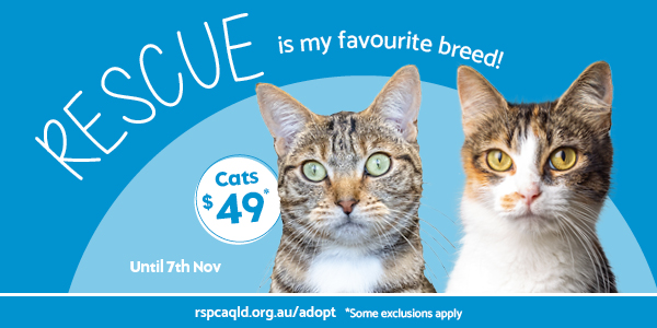 Rescue is My Favourite Breed | Cats $49 & Dogs $199 | RSPCA Queensland