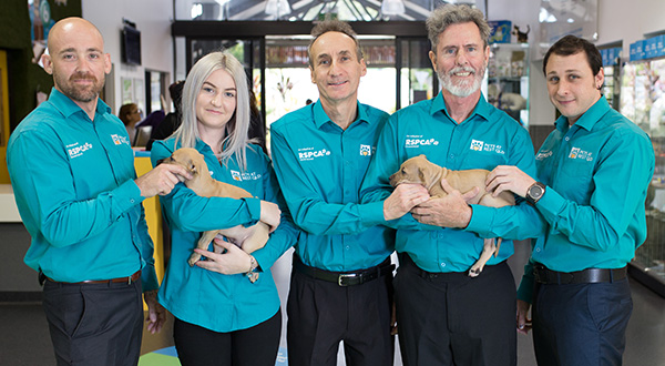 RSPCA Pets at Rest team post with two tan puppies
