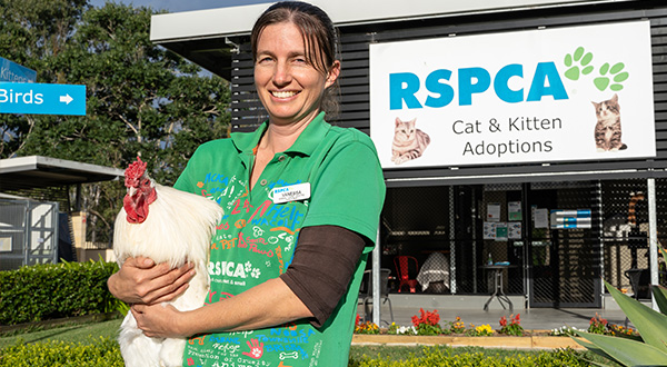 RSPCA Gympie Shelter Mangager, Vanessa, stands at the front of the shelter holding a white rooster