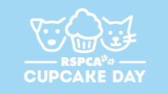 rspca cupcake day queensland 2019